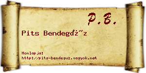 Pits Bendegúz névjegykártya